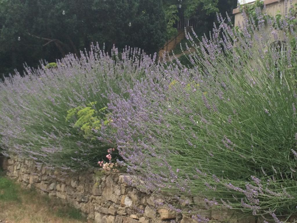 Traumparadies Bad Sulza Dış mekan fotoğraf
