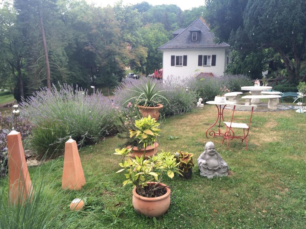 Traumparadies Bad Sulza Dış mekan fotoğraf