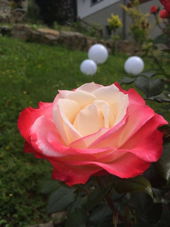 Traumparadies Bad Sulza Dış mekan fotoğraf