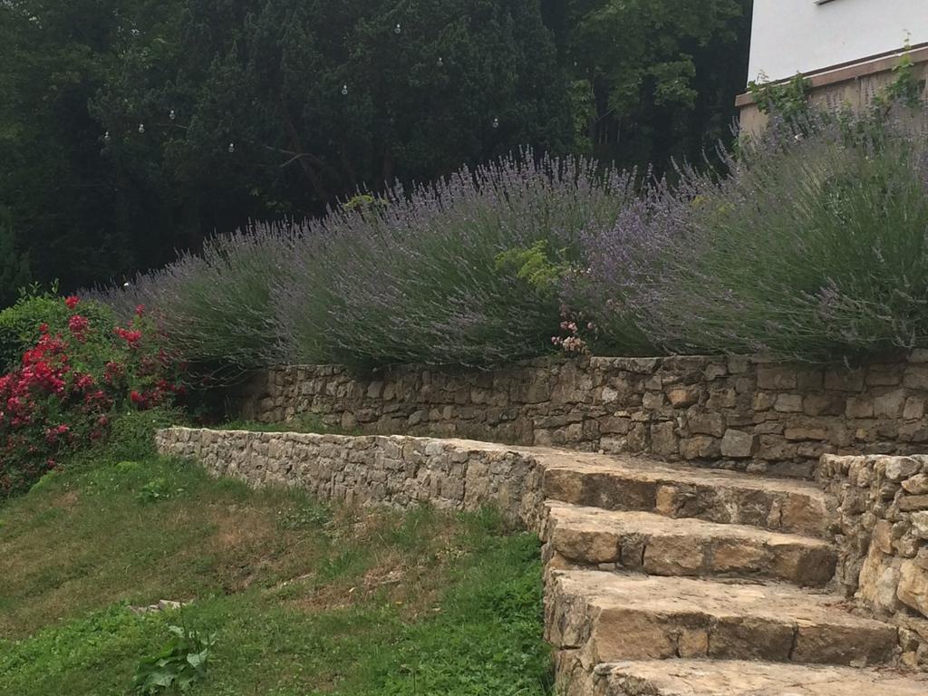 Traumparadies Bad Sulza Dış mekan fotoğraf